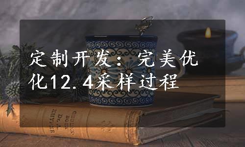 定制开发：完美优化12.4采样过程