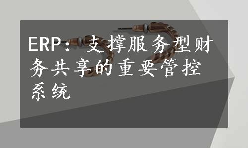 ERP：支撑服务型财务共享的重要管控系统