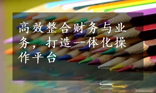 高效整合财务与业务，打造一体化操作平台