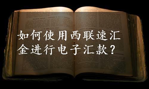 如何使用西联速汇金进行电子汇款？