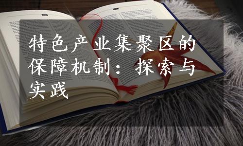 特色产业集聚区的保障机制：探索与实践