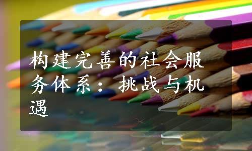 构建完善的社会服务体系：挑战与机遇