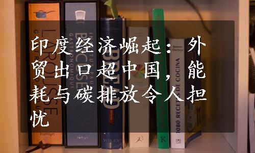 印度经济崛起：外贸出口超中国，能耗与碳排放令人担忧