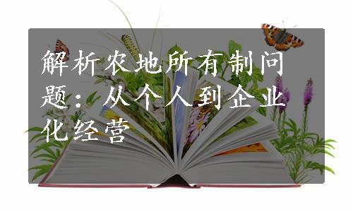 解析农地所有制问题：从个人到企业化经营