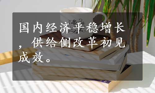 国内经济平稳增长，供给侧改革初见成效。