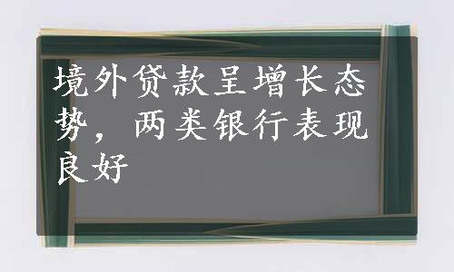 境外贷款呈增长态势，两类银行表现良好