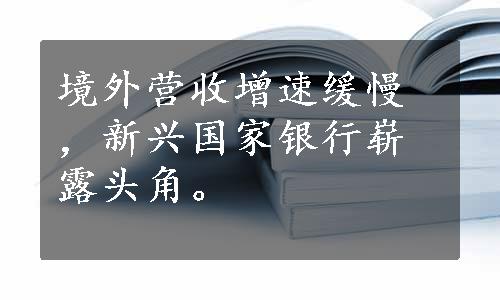 境外营收增速缓慢，新兴国家银行崭露头角。