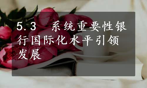 5.3　系统重要性银行国际化水平引领发展