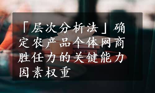 「层次分析法」确定农产品个体网商胜任力的关键能力因素权重