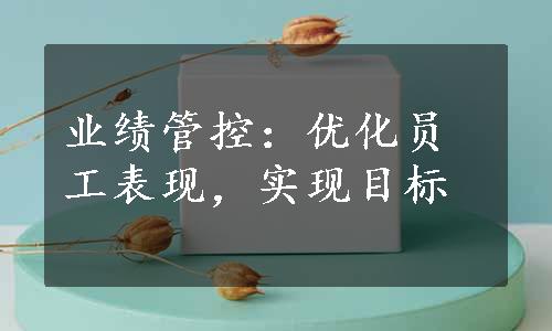 业绩管控：优化员工表现，实现目标