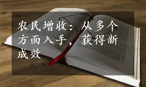 农民增收：从多个方面入手，获得新成效