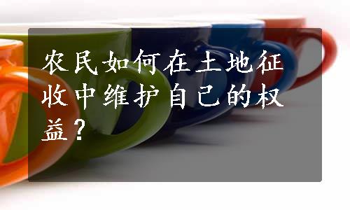 农民如何在土地征收中维护自己的权益？