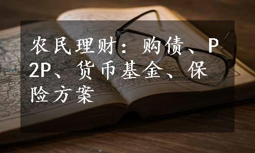 农民理财：购债、P2P、货币基金、保险方案