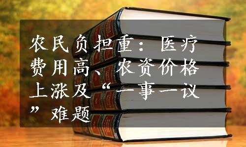 农民负担重：医疗费用高、农资价格上涨及“一事一议”难题