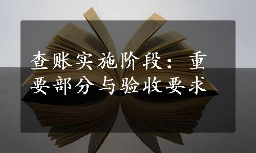 查账实施阶段：重要部分与验收要求