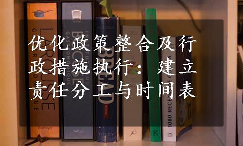 优化政策整合及行政措施执行：建立责任分工与时间表