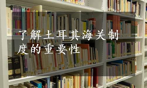 了解土耳其海关制度的重要性