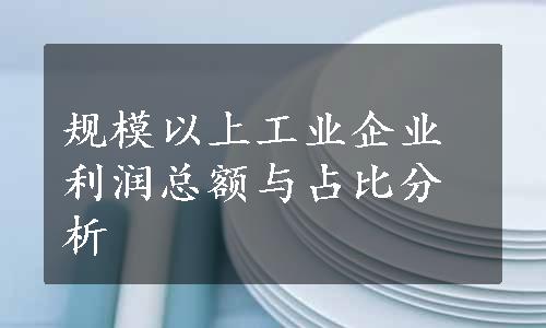 规模以上工业企业利润总额与占比分析