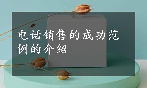 电话销售的成功范例的介绍