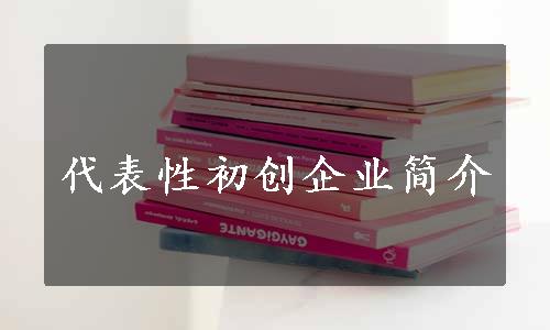 代表性初创企业简介