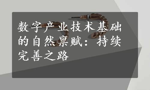 数字产业技术基础的自然禀赋：持续完善之路