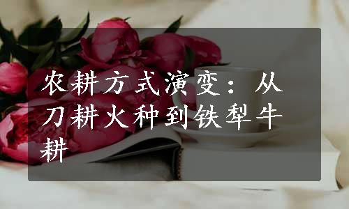 农耕方式演变：从刀耕火种到铁犁牛耕