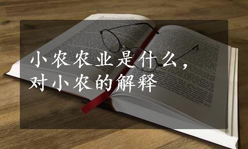 小农农业是什么，对小农的解释