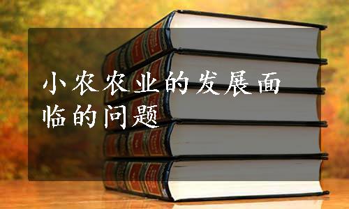 小农农业的发展面临的问题