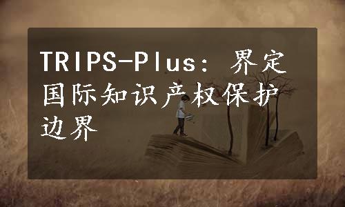 TRIPS-Plus: 界定国际知识产权保护边界