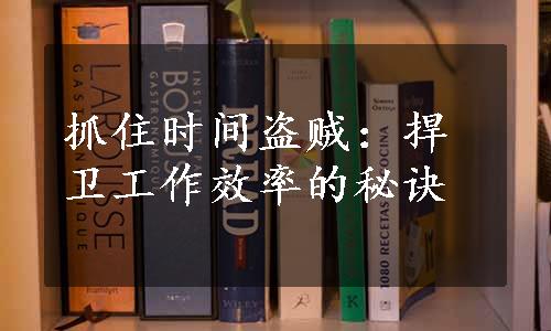 抓住时间盗贼：捍卫工作效率的秘诀