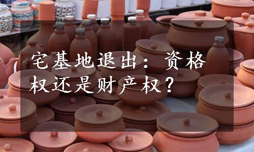 宅基地退出：资格权还是财产权？