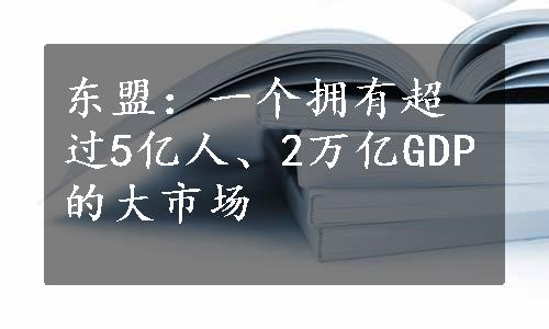 东盟：一个拥有超过5亿人、2万亿GDP的大市场