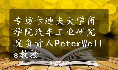 专访卡迪夫大学商学院汽车工业研究院负责人PeterWells教授