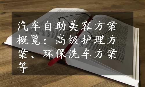 汽车自助美容方案概览：高级护理方案、环保洗车方案等