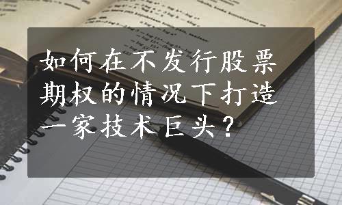 如何在不发行股票期权的情况下打造一家技术巨头？