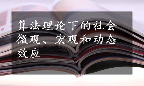 算法理论下的社会微观、宏观和动态效应