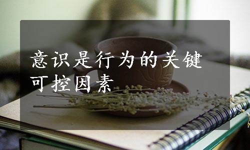 意识是行为的关键可控因素