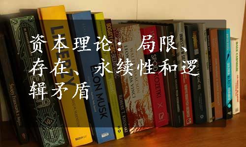 资本理论：局限、存在、永续性和逻辑矛盾