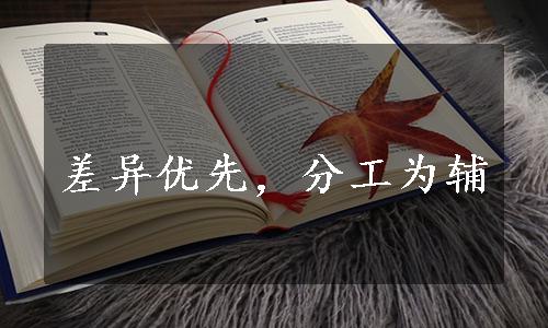 差异优先，分工为辅