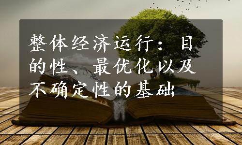 整体经济运行：目的性、最优化以及不确定性的基础