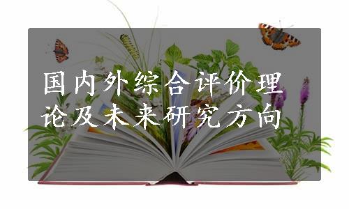 国内外综合评价理论及未来研究方向