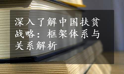 深入了解中国扶贫战略：框架体系与关系解析