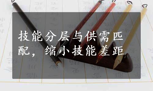 技能分层与供需匹配，缩小技能差距