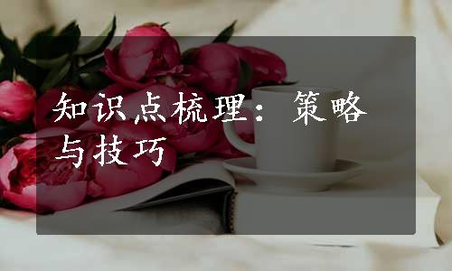 知识点梳理：策略与技巧