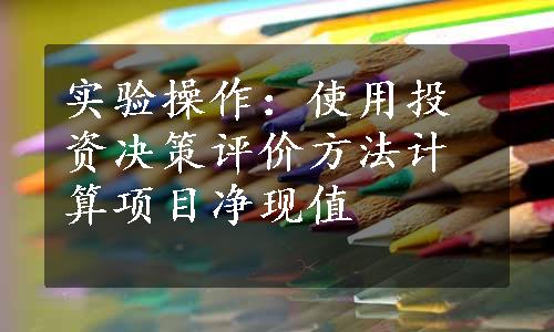 实验操作：使用投资决策评价方法计算项目净现值