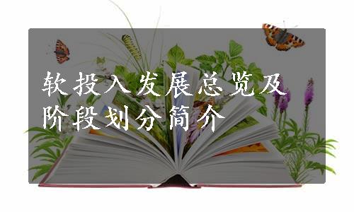 软投入发展总览及阶段划分简介