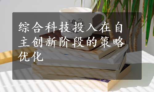 综合科技投入在自主创新阶段的策略优化