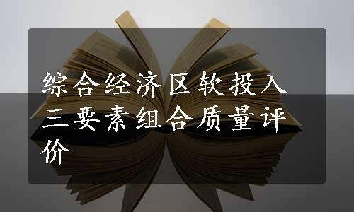 综合经济区软投入三要素组合质量评价