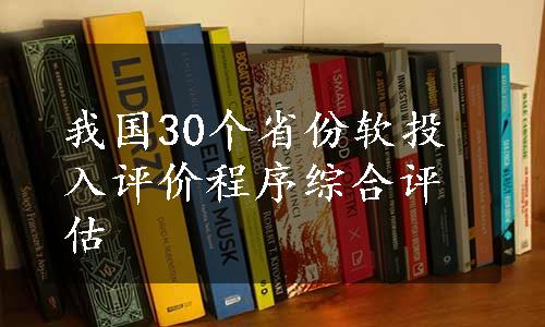 我国30个省份软投入评价程序综合评估