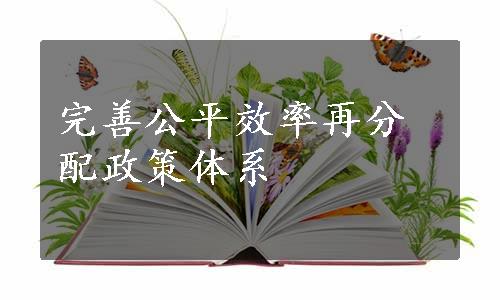 完善公平效率再分配政策体系